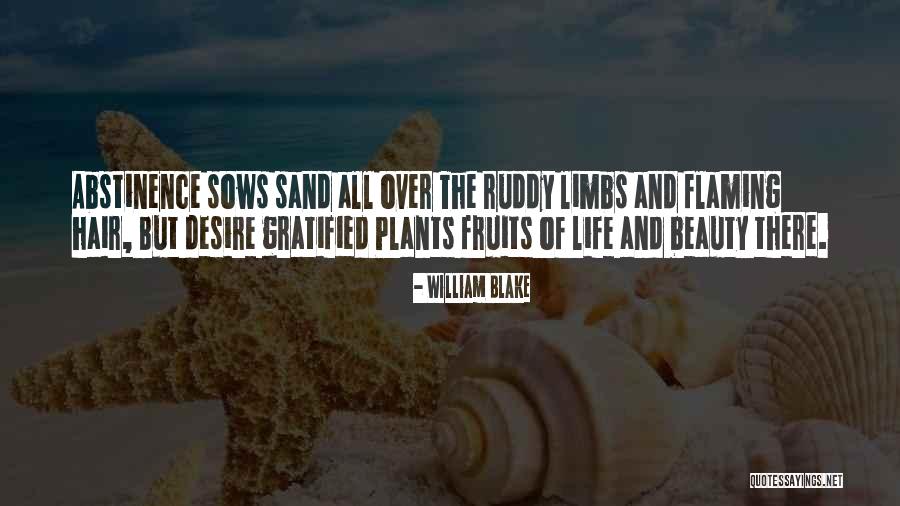 Life William Blake Quotes By William Blake Life William Blake Quotes By William Blake
