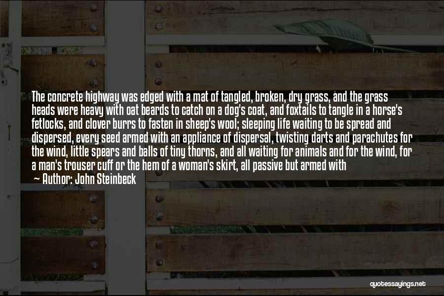 Life With Animals Quotes By John Steinbeck