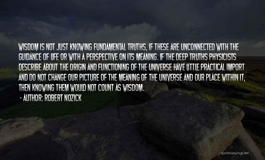 Life With Its Meaning Quotes By Robert Nozick