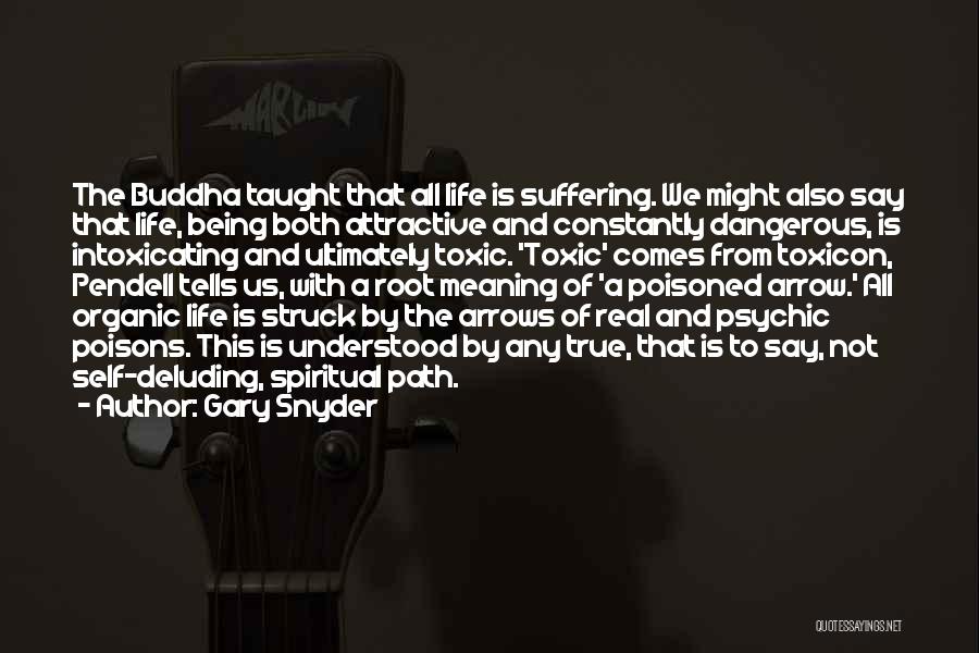 Life With Meaning Quotes By Gary Snyder