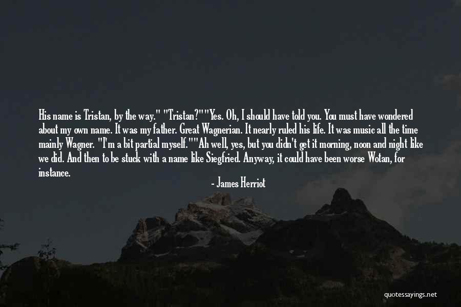 Life With Music Quotes By James Herriot Life With Music Quotes By James Herriot