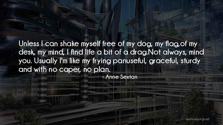 Life With No Plan Quotes By Anne Sexton