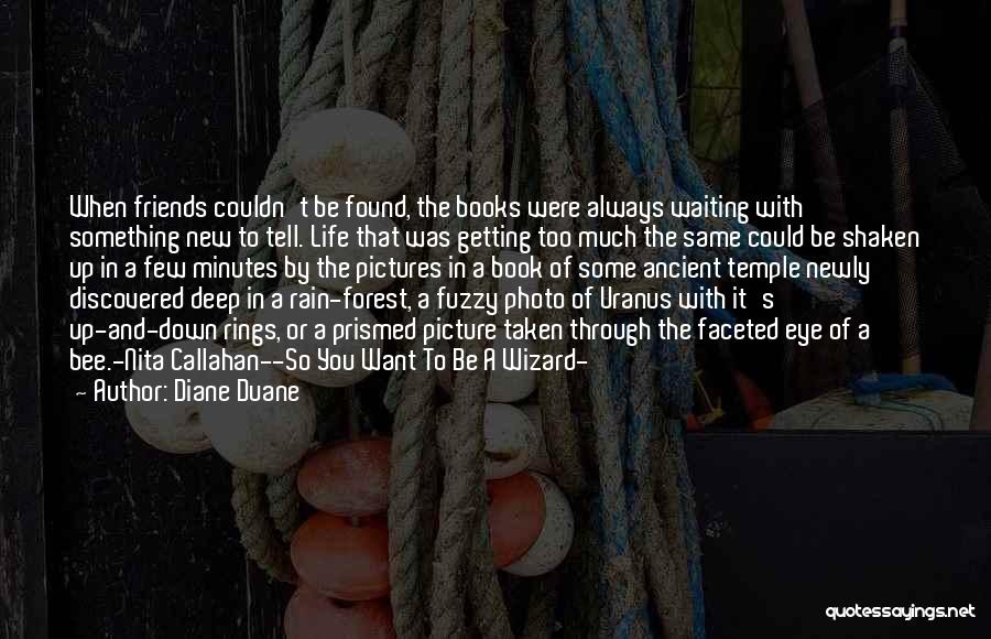 Life With Pictures Quotes By Diane Duane