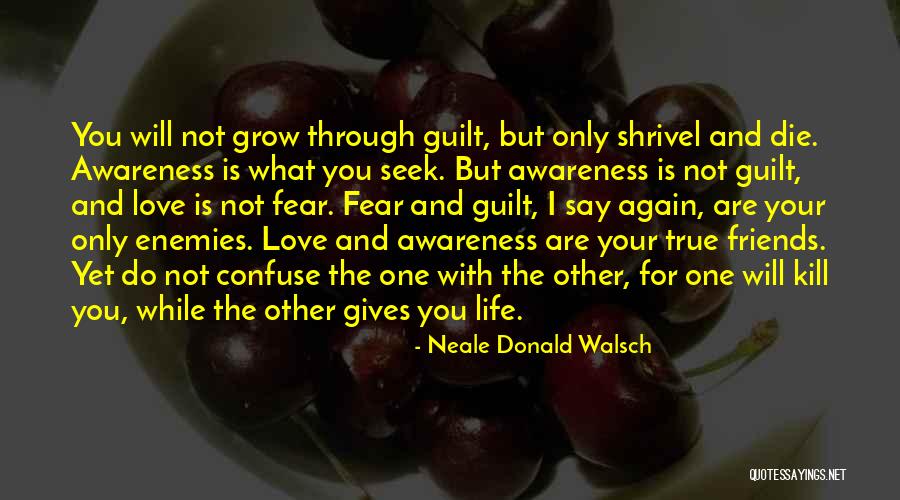 Life With True Friends Quotes By Neale Donald Walsch