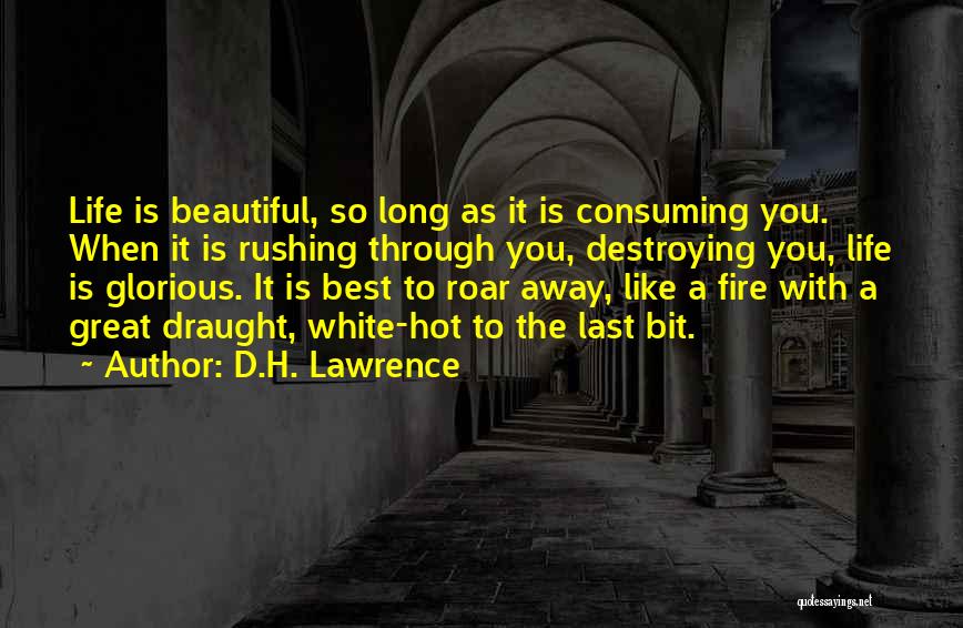 Life With You Is Beautiful Quotes By D.H. Lawrence