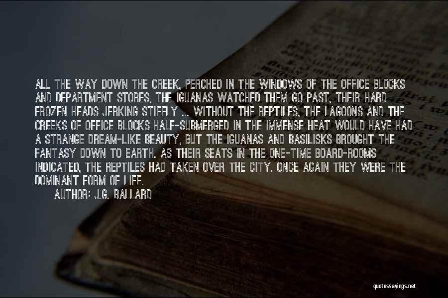 Life Without A Dream Quotes By J.G. Ballard