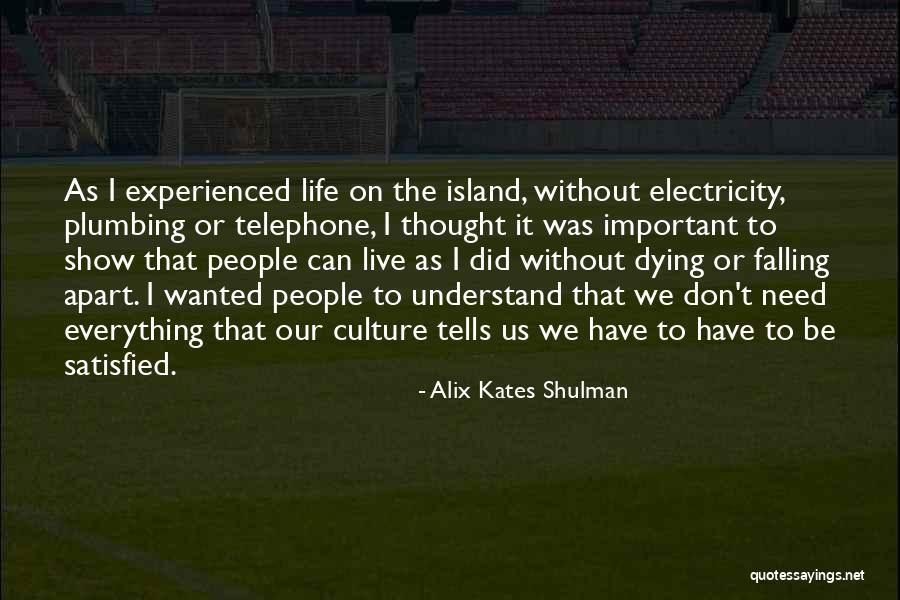 Life Without Electricity Quotes By Alix Kates Shulman