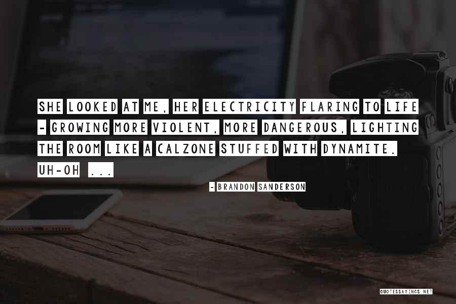 Life Without Electricity Quotes By Brandon Sanderson