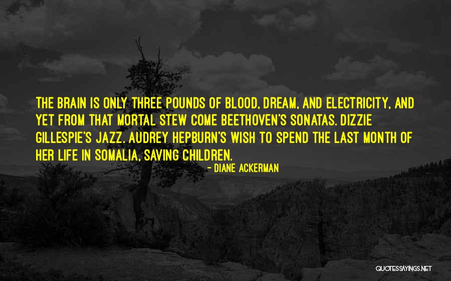 Life Without Electricity Quotes By Diane Ackerman