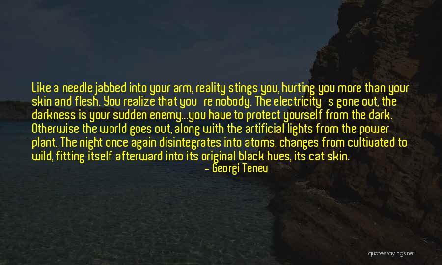 Life Without Electricity Quotes By Georgi Tenev