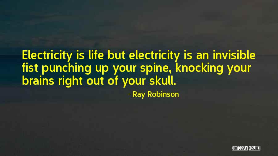 Life Without Electricity Quotes By Ray Robinson