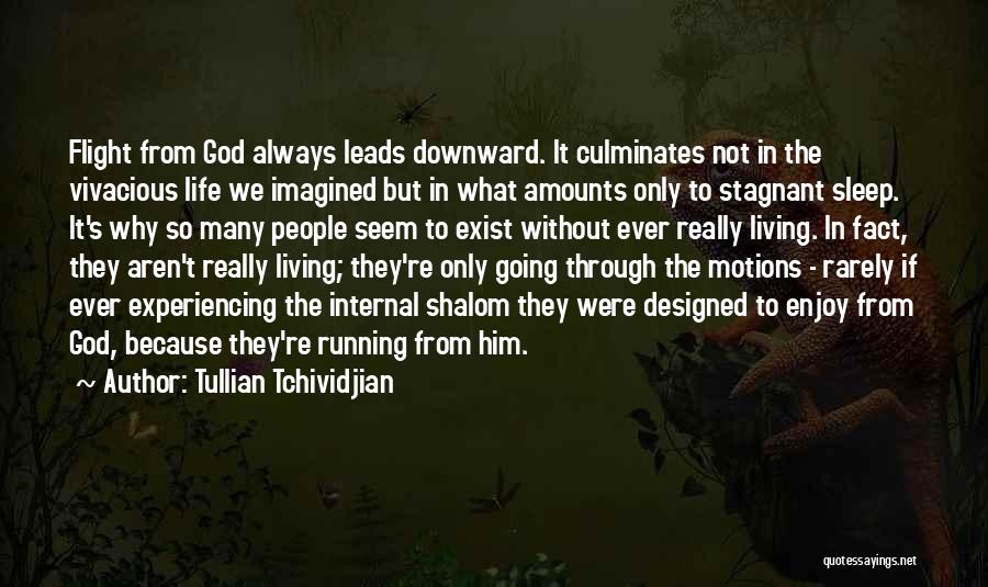 Life Without Hope Quotes By Tullian Tchividjian