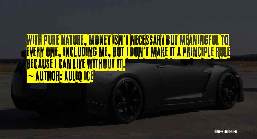 Life Without Principle Quotes By Auliq Ice