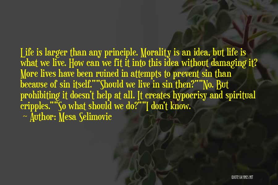 Life Without Principle Quotes By Mesa Selimovic