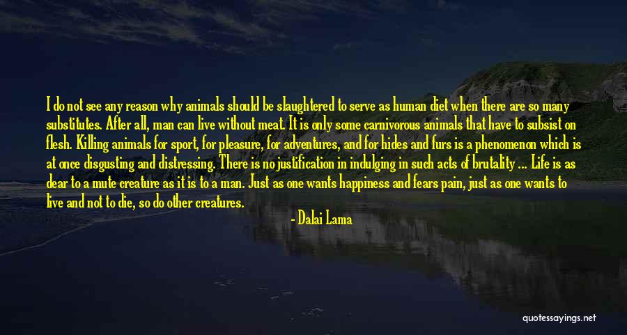 Life Without Sports Quotes By Dalai Lama