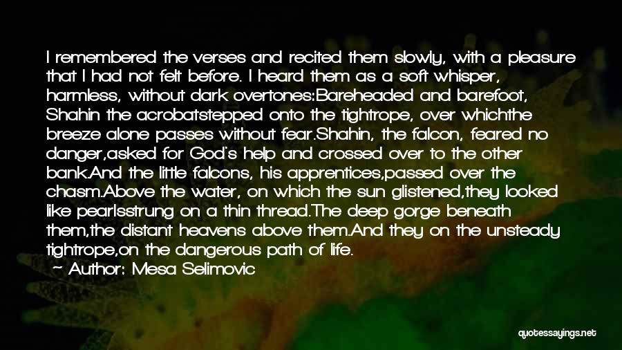 Life Without Sun Quotes By Mesa Selimovic