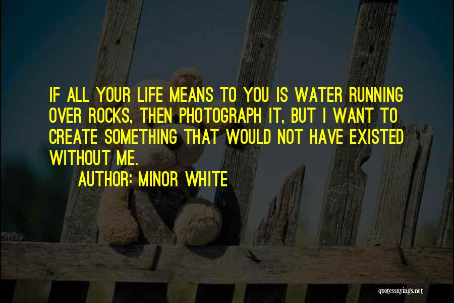 Life Without Water Quotes By Minor White