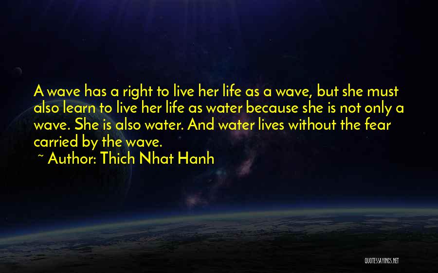 Life Without Water Quotes By Thich Nhat Hanh