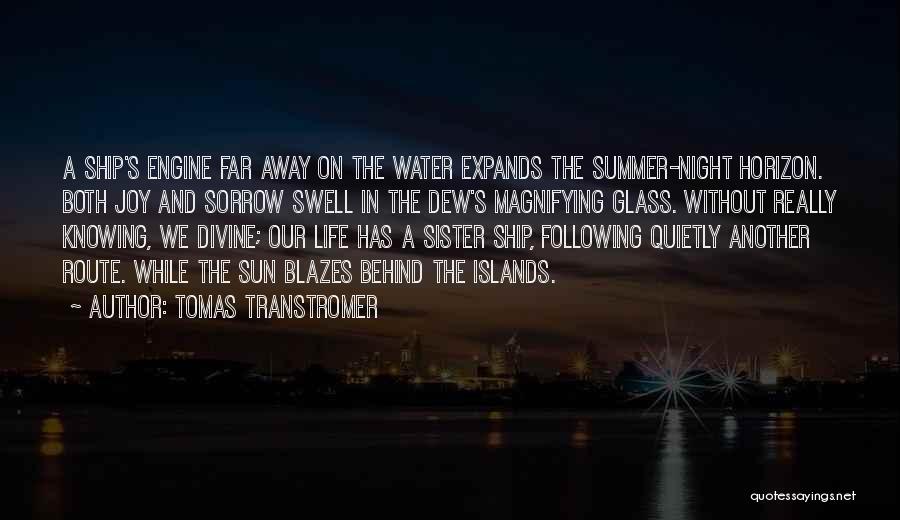 Life Without Water Quotes By Tomas Transtromer