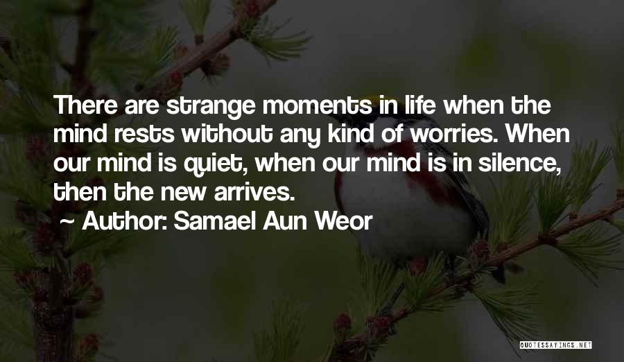 Life Without Worries Quotes By Samael Aun Weor