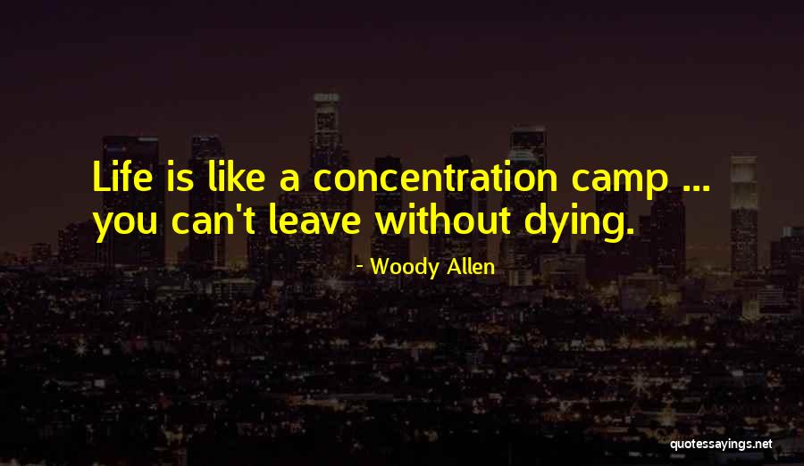 Life Without You Is Like Quotes By Woody Allen Life Without You Is Like Quotes By Woody Allen
