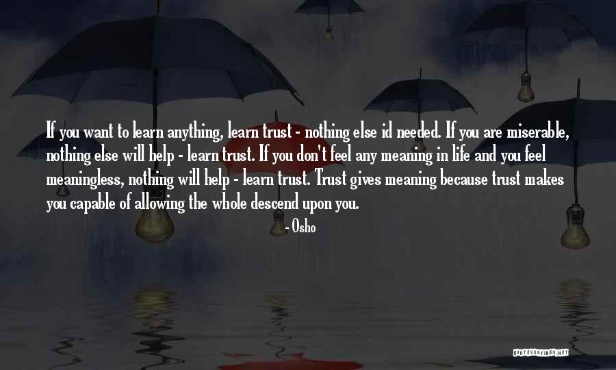 Life Without You Is Meaningless Quotes By Osho