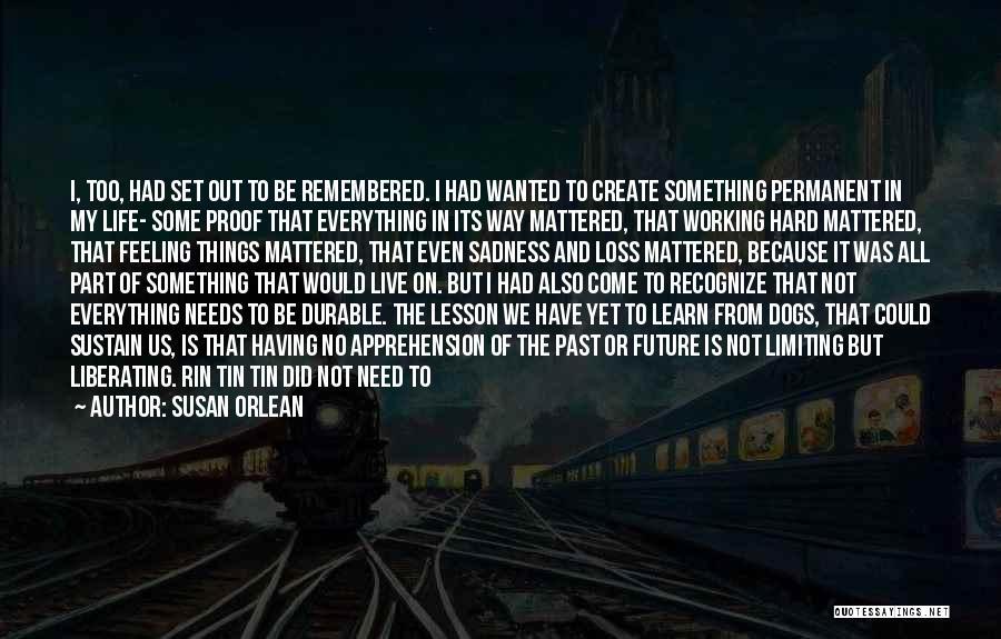 Life Working Hard Quotes By Susan Orlean