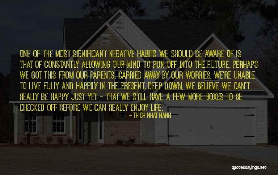Life Worries Quotes By Thich Nhat Hanh Life Worries Quotes By Thich Nhat Hanh