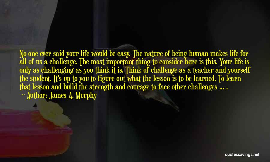 Life Would Be Easy Quotes By James A. Murphy