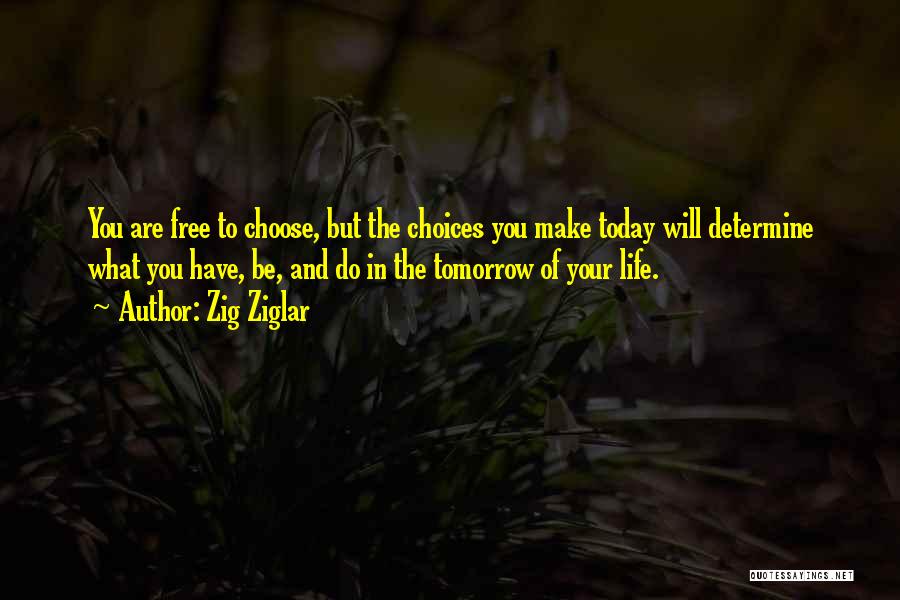 Life Zig Ziglar Quotes By Zig Ziglar