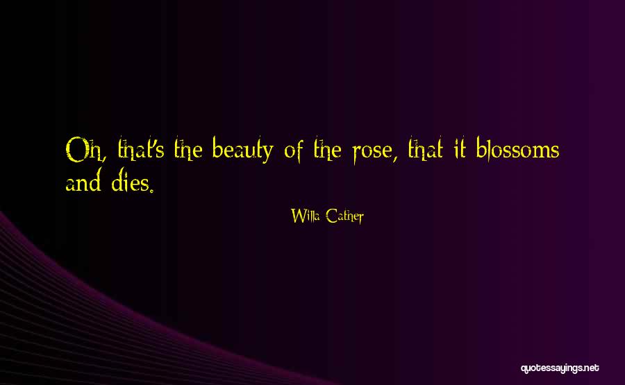 Life4you Quotes By Willa Cather Life4you Quotes By Willa Cather