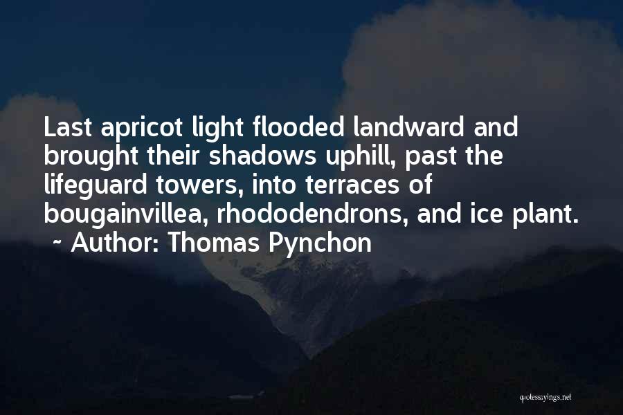 Lifeguard Quotes By Thomas Pynchon