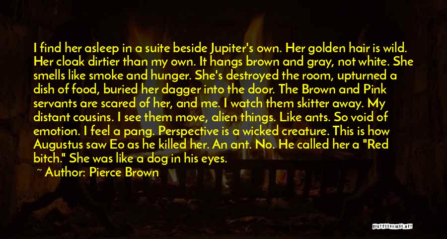 Lifehack 10 Quotes By Pierce Brown