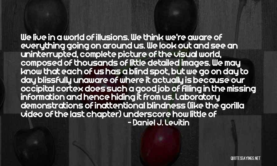 Lifehacker Leadership Quotes By Daniel J. Levitin Lifehacker Leadership Quotes By Daniel J. Levitin