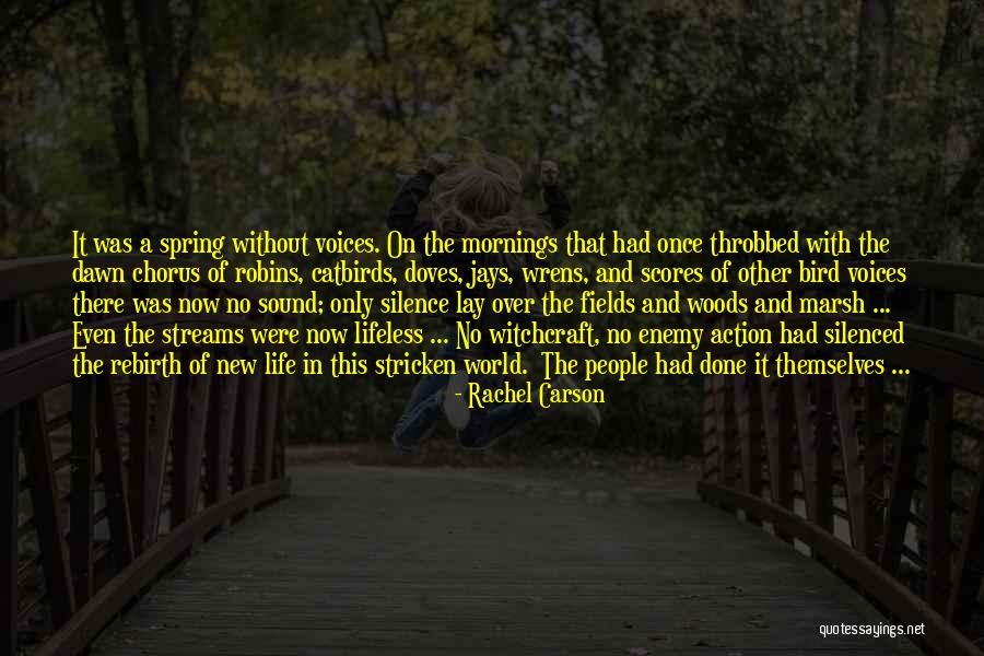 Lifeless In Life Quotes By Rachel Carson Lifeless In Life Quotes By Rachel Carson