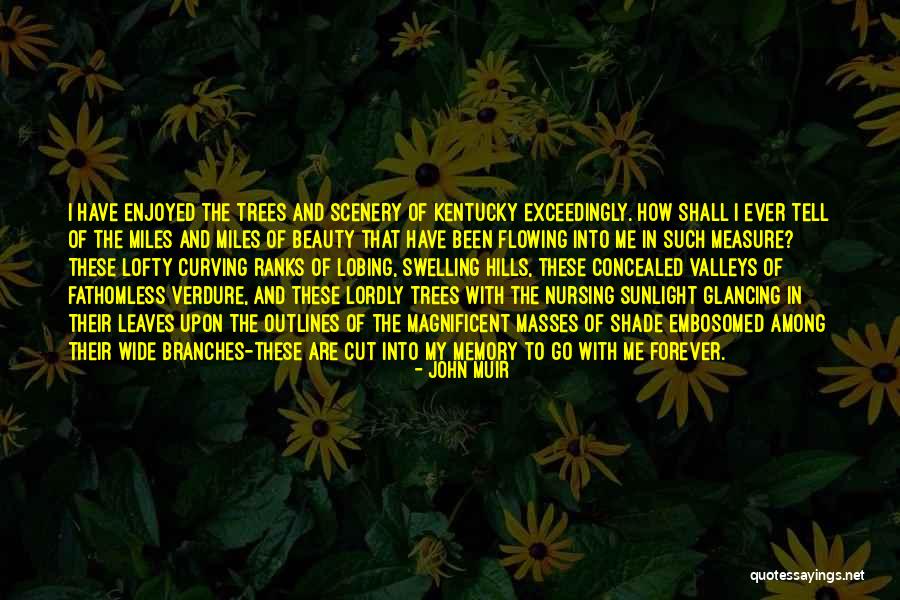 Lifemy Quotes By John Muir Lifemy Quotes By John Muir