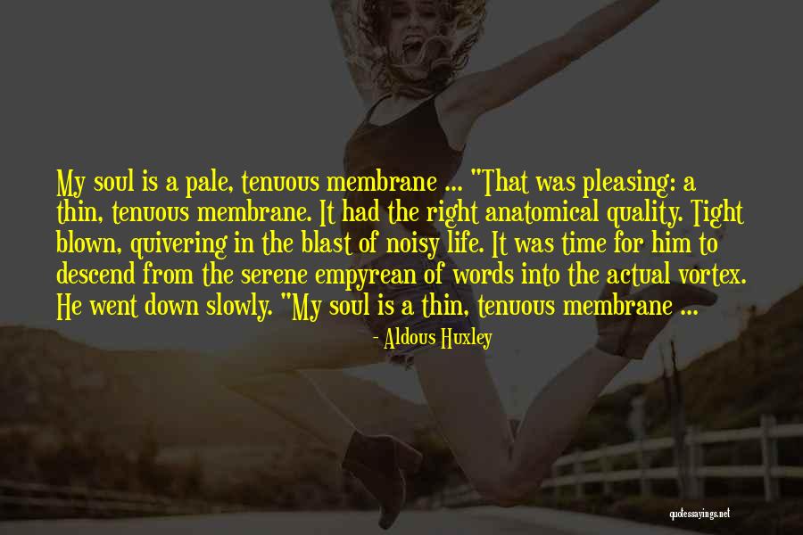 Life's A Blast Quotes By Aldous Huxley