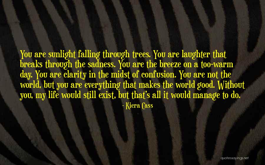 Life's A Breeze Quotes By Kiera Cass Life's A Breeze Quotes By Kiera Cass