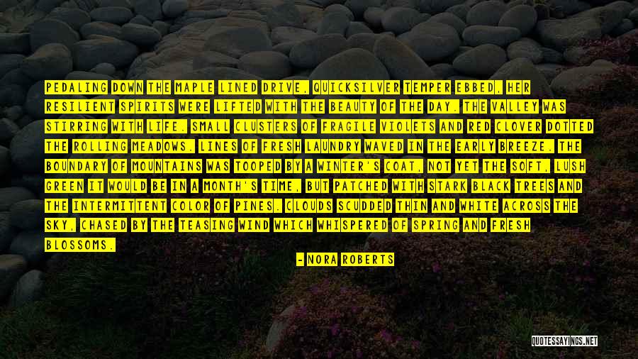 Life's A Breeze Quotes By Nora Roberts Life's A Breeze Quotes By Nora Roberts