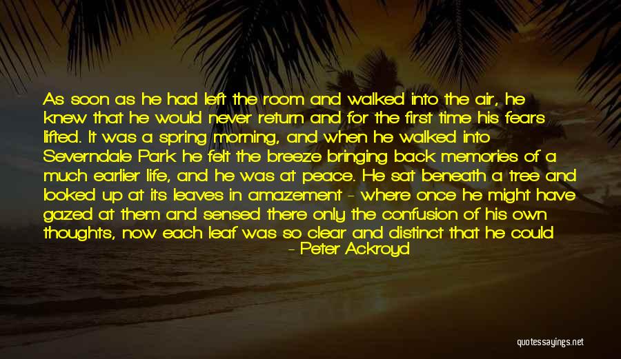 Life's A Breeze Quotes By Peter Ackroyd Life's A Breeze Quotes By Peter Ackroyd