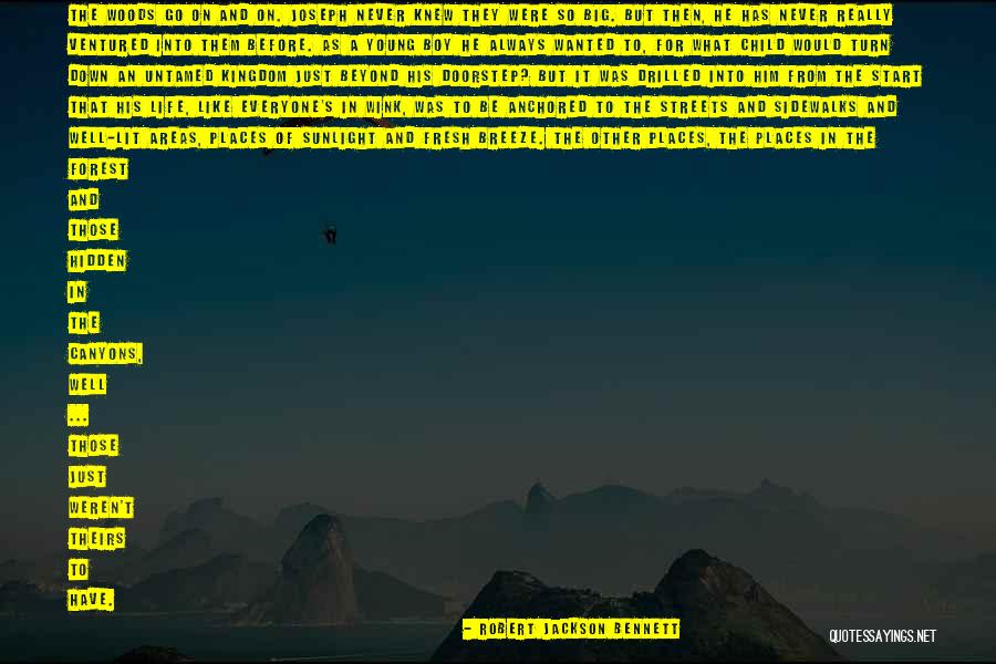 Life's A Breeze Quotes By Robert Jackson Bennett Life's A Breeze Quotes By Robert Jackson Bennett