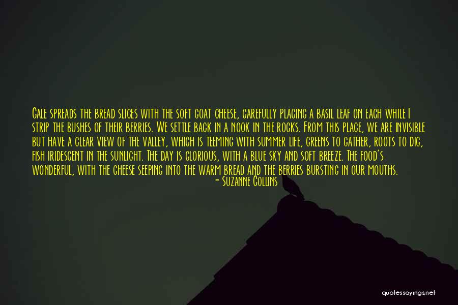 Life's A Breeze Quotes By Suzanne Collins Life's A Breeze Quotes By Suzanne Collins