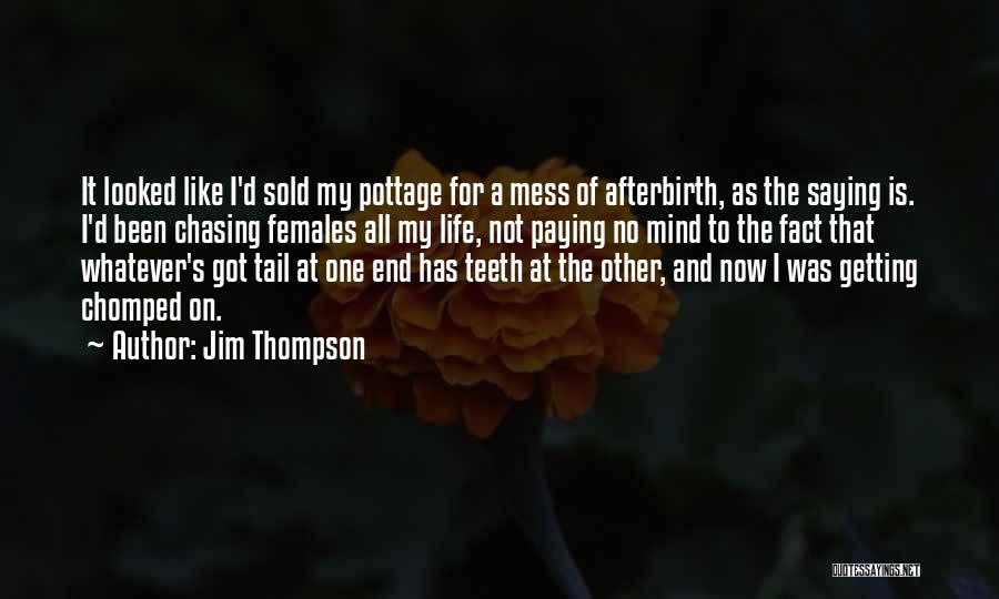 Life's A Mess Quotes By Jim Thompson