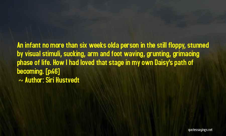 Life's A Stage Quotes By Siri Hustvedt