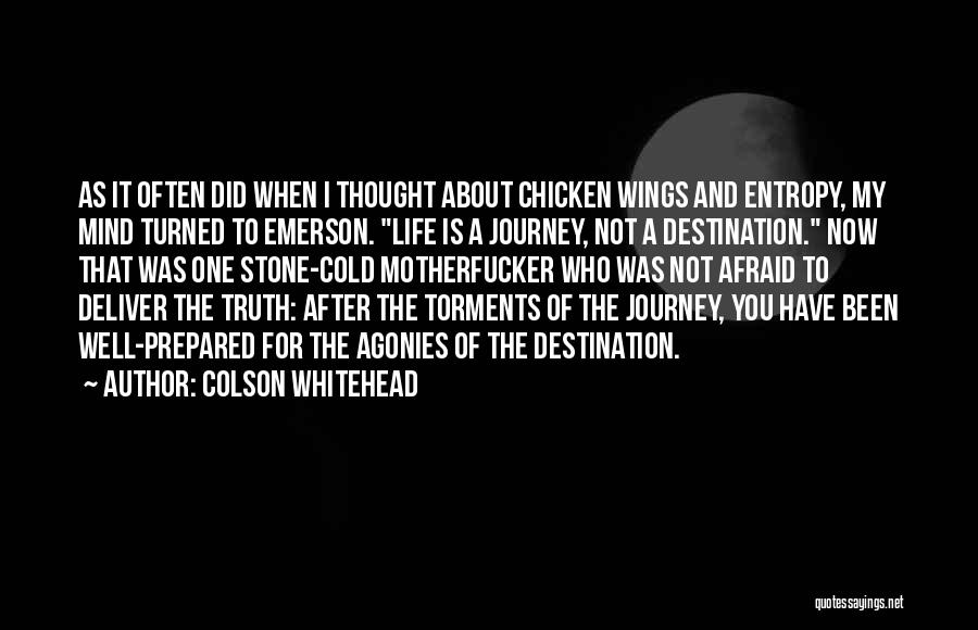 Life's About The Journey Not The Destination Quotes By Colson Whitehead