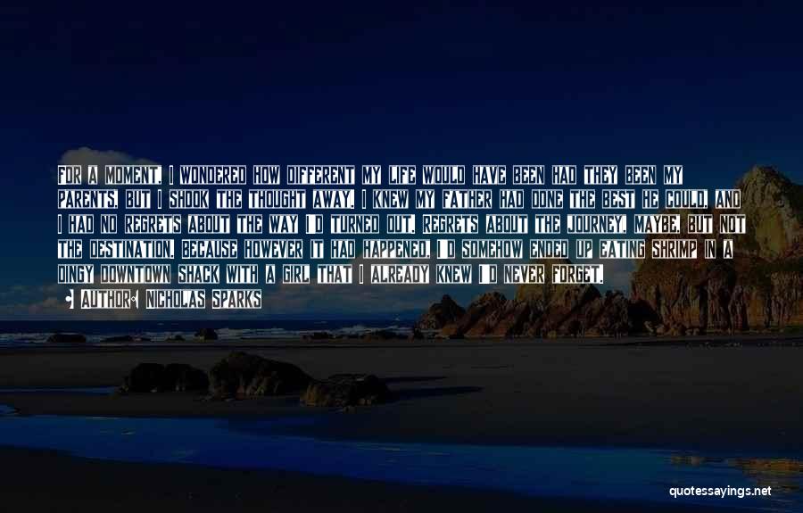 Life's About The Journey Not The Destination Quotes By Nicholas Sparks