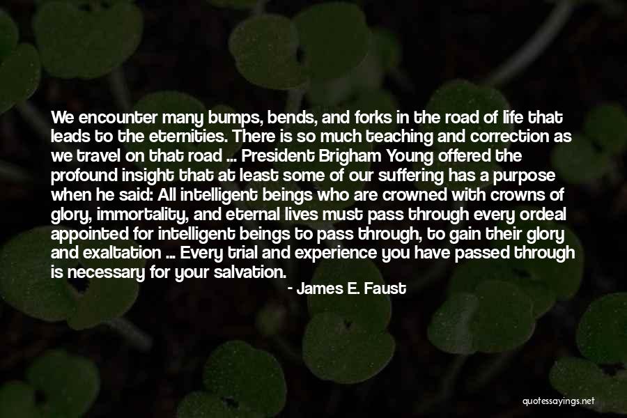 Life's Bumps In The Road Quotes By James E. Faust Life's Bumps In The Road Quotes By James E. Faust
