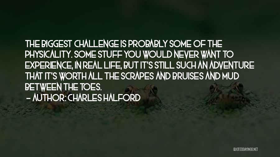 Life's Challenges Quotes By Charles Halford