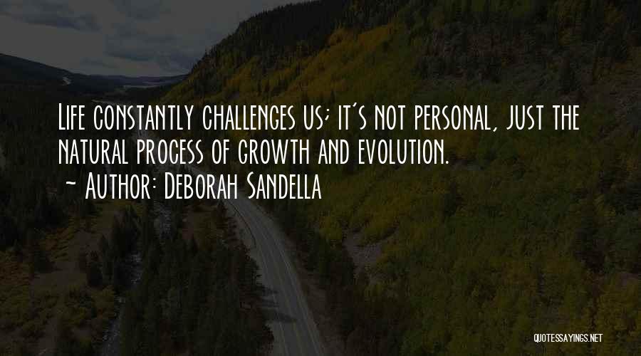 Life's Challenges Quotes By Deborah Sandella