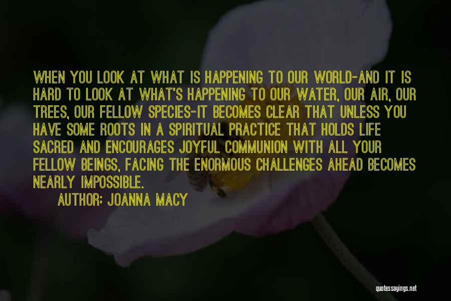 Life's Challenges Quotes By Joanna Macy